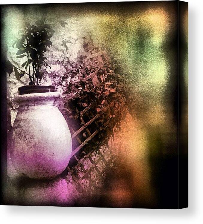 Snapseed Canvas Print featuring the photograph Pot #iphone #instagram #iphoneography by Roberto Pagani
