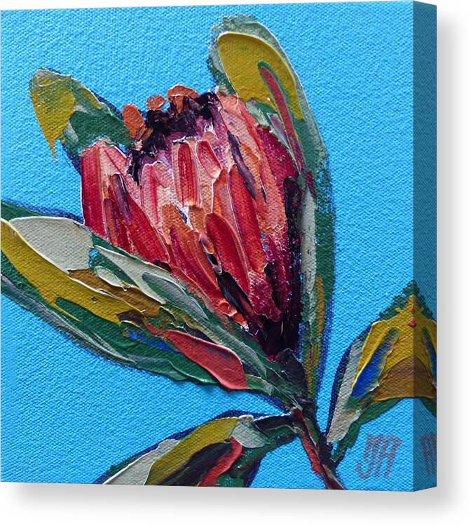 Flower Canvas Print featuring the painting Protea study 3 by Yvonne Ankerman