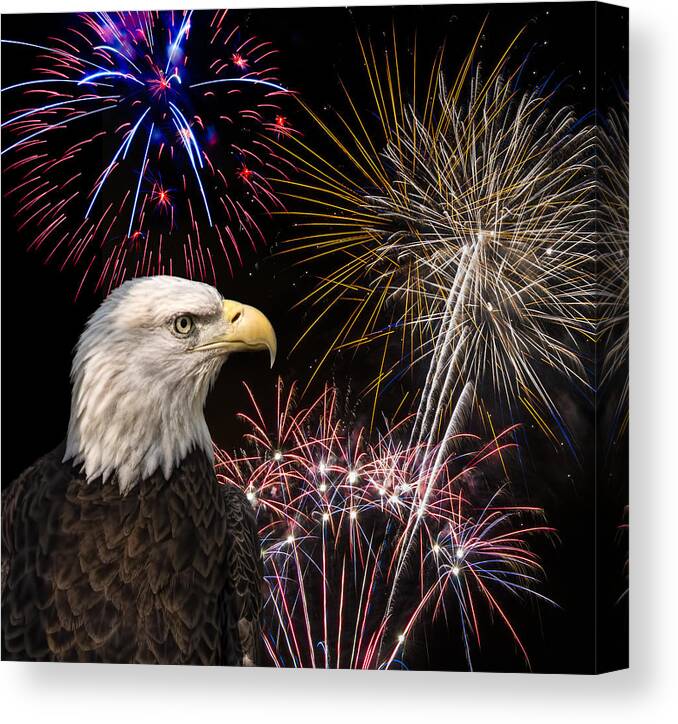  Eagle Canvas Print featuring the photograph Proud and free 7 by Penny Lisowski