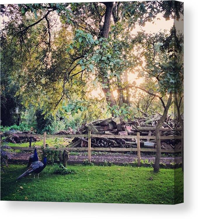 England Canvas Print featuring the photograph #pub #garden #beergarden #rural by Robyn Chell