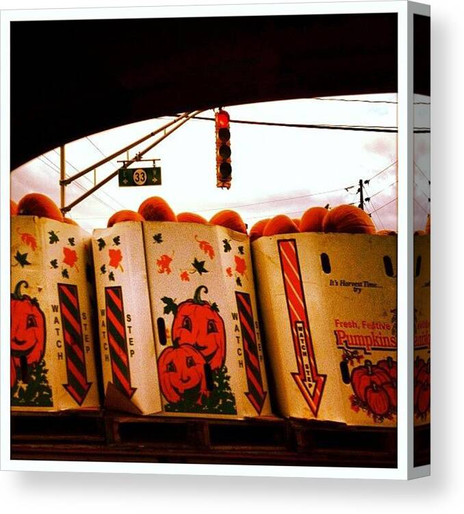 Pumpkin Canvas Print featuring the photograph Pumpkin Truck by Michael Gonzalez