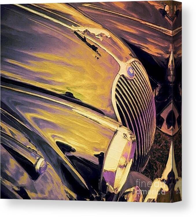Sharkcrossing Canvas Print featuring the painting S Purple and Gold Antique Jaguar - Square by Lyn Voytershark
