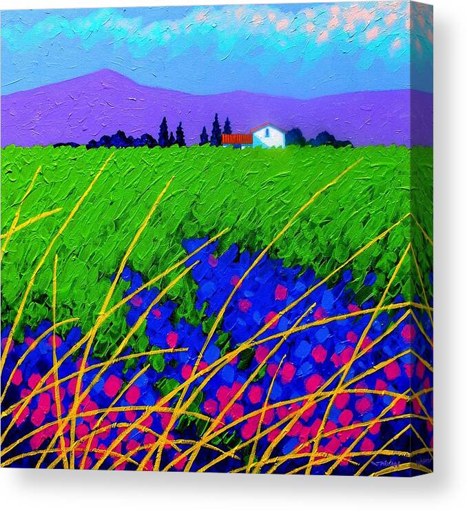 Cottage Canvas Print featuring the painting Purple Hills by John Nolan