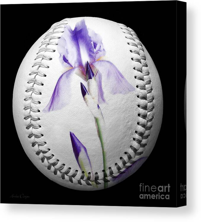 Baseball Canvas Print featuring the photograph Purple Iris High Key Baseball Square by Andee Design