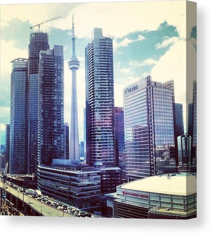 Toronto Canvas Print featuring the photograph Putting So Much Effort Into Exploring by Steven Jacob
