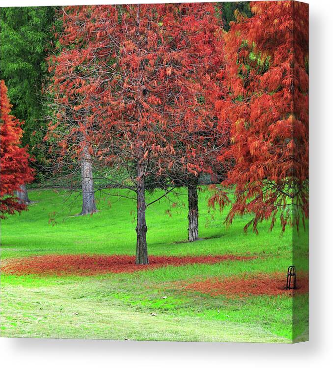 Tranquility Canvas Print featuring the photograph Quiet Park Setting by Mitch Diamond