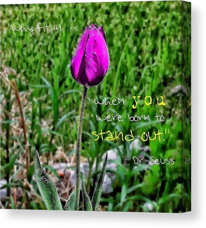 Hdrstyles_gf Canvas Print featuring the photograph #quoteoftheday For #special Someone by Jordan Rosales