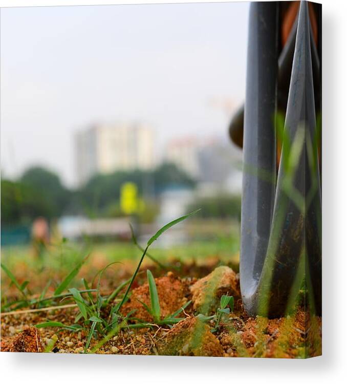 Closeup Canvas Print featuring the photograph Re-planting by Erwin Tan