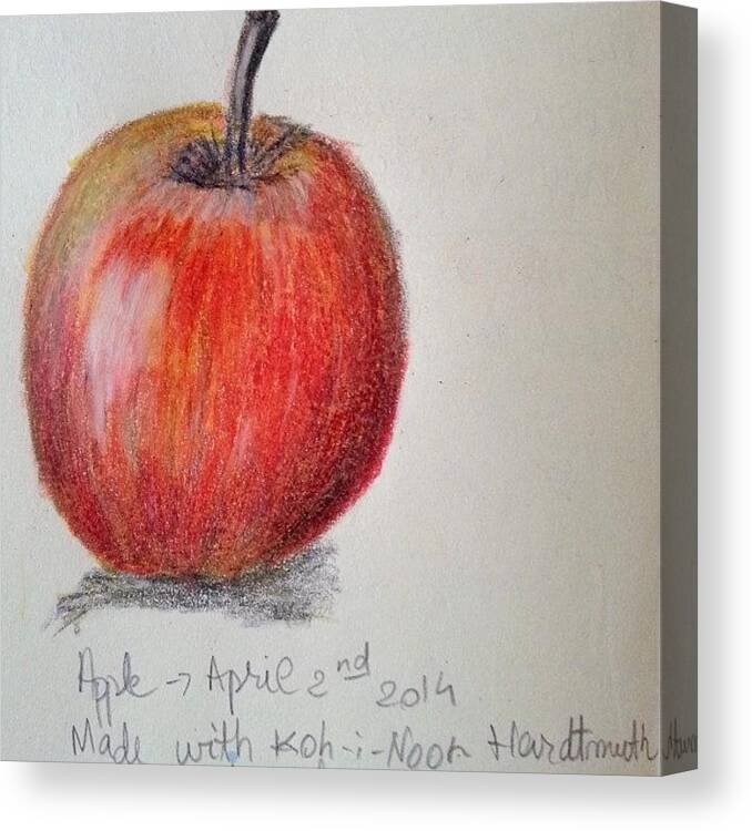 Illustration Canvas Print featuring the photograph Red Apple In Colored Pencils by Cristina Parus