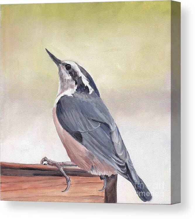 Bird Art Canvas Print featuring the painting Red Breasted Nuthatch by Charlotte Yealey