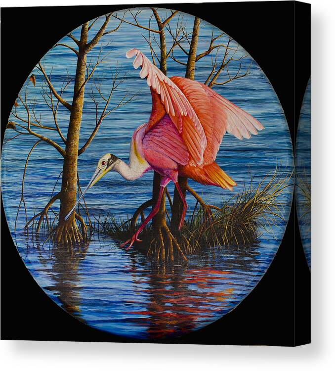 Roseate Spoonbill Canvas Print featuring the painting Red Eye by AnnaJo Vahle
