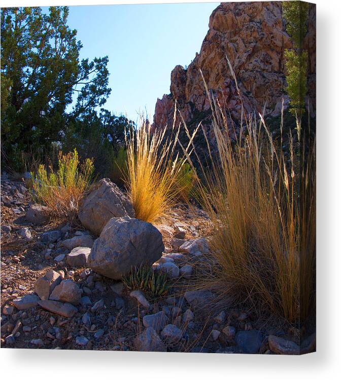 Red Rock Canvas Print featuring the photograph Red Rock Morning Light by Elaine Goss