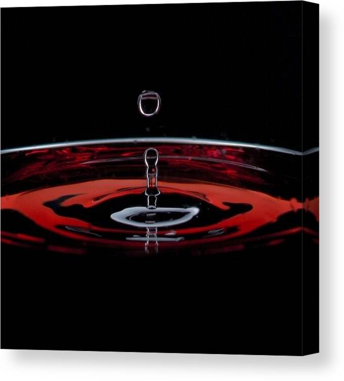  Canvas Print featuring the photograph Red Wine by Elpidio Orsomando