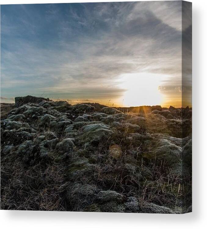 Sunset Canvas Print featuring the photograph #reykjanes #iceland #lava #moss #sunset by Anna Sig