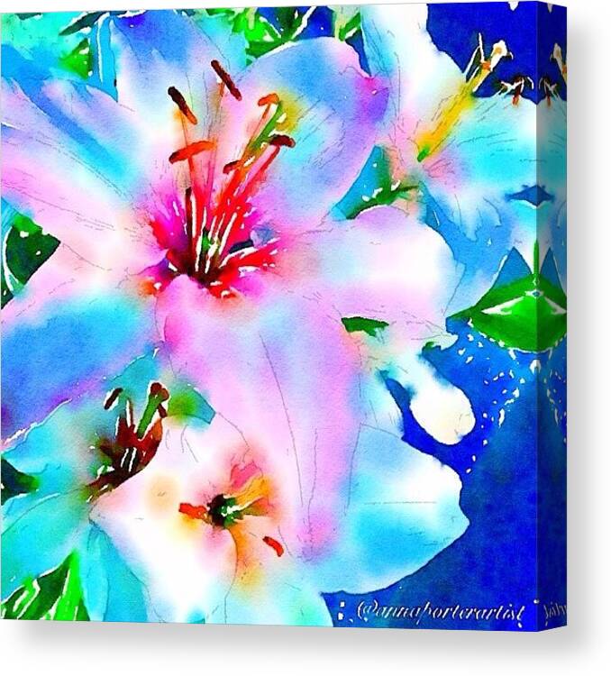 Art Canvas Print featuring the photograph Rhapsody In Blue by Anna Porter
