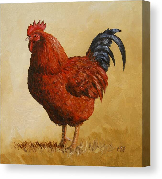 Rhode Island Canvas Print featuring the painting Rhode Island Red Rooster by Crista Forest