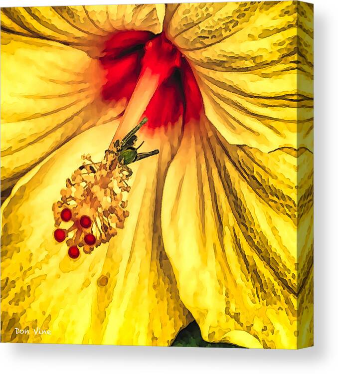 Dvflowers Canvas Print featuring the photograph Riding the Hibiscus by Don Vine