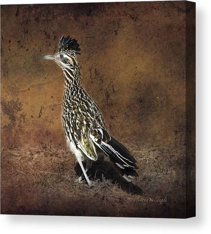 Bird Canvas Print featuring the photograph Road Runner 2 by Karen Slagle