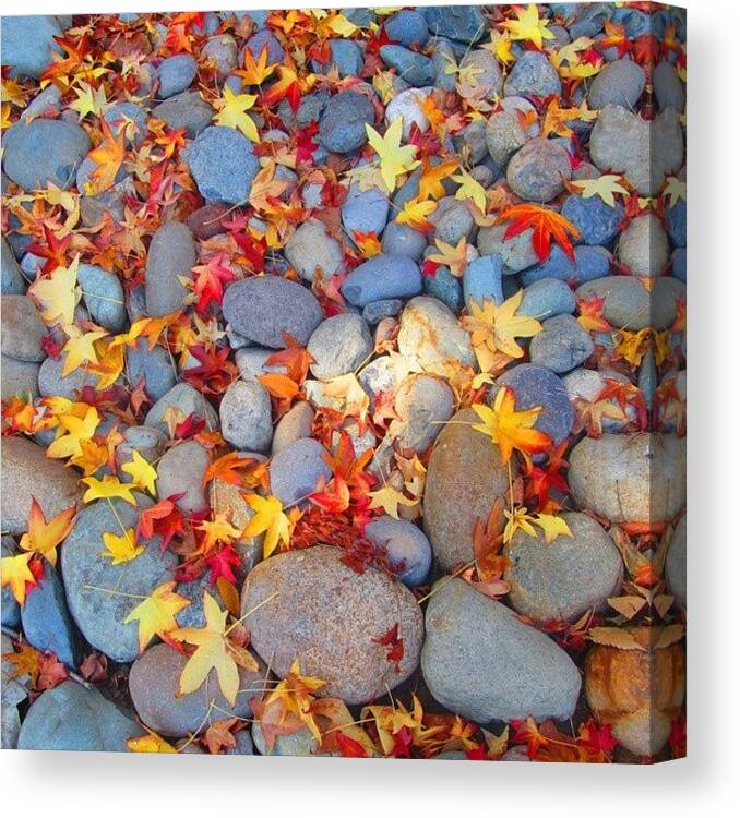 Colors Canvas Print featuring the photograph Fallen Rocks by Ifunanya Onyima