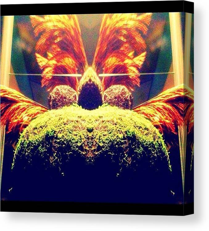 13 Canvas Print featuring the photograph Rorschach #13 - The Fox And The Hen by Daniel Rodriguez