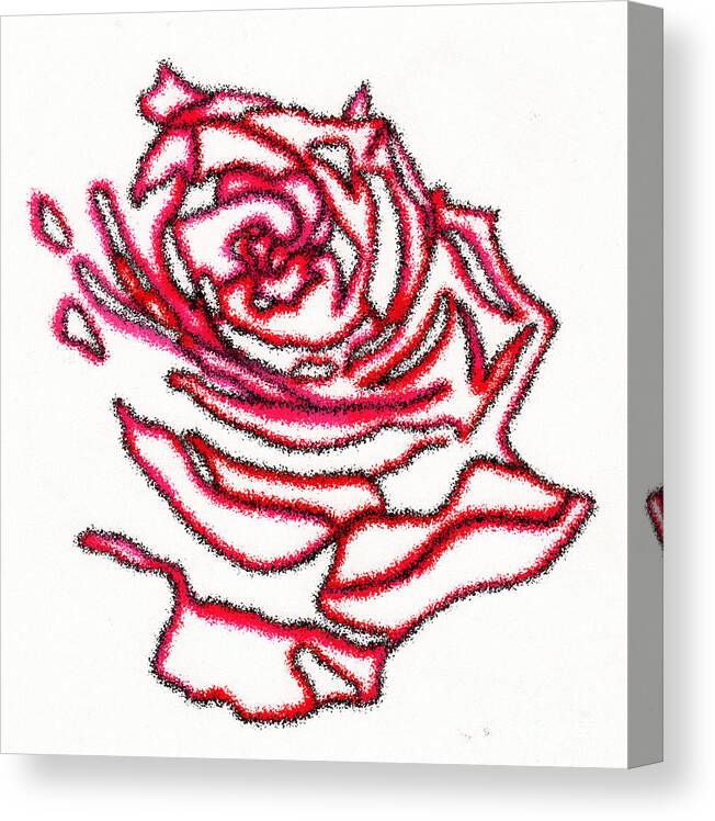 Roses Canvas Print featuring the drawing Rose 3 by Christine Perry