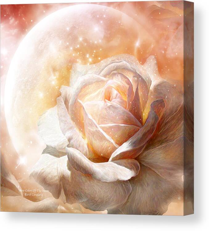 Rose Canvas Print featuring the mixed media Rose - Colors Of The Moon by Carol Cavalaris