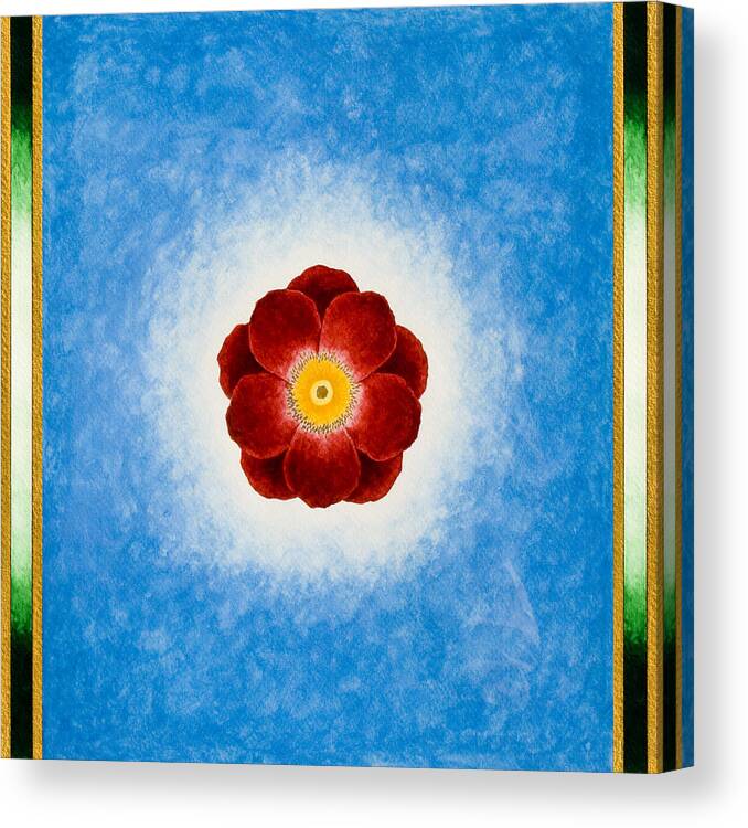 Watercolor Canvas Print featuring the painting Rose On Blue by Lee Santa