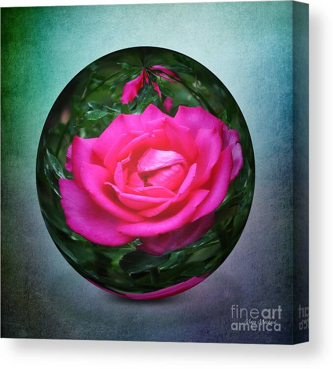 Round Paper Weight Canvas Print featuring the photograph Rose through the Glass by Mary Machare