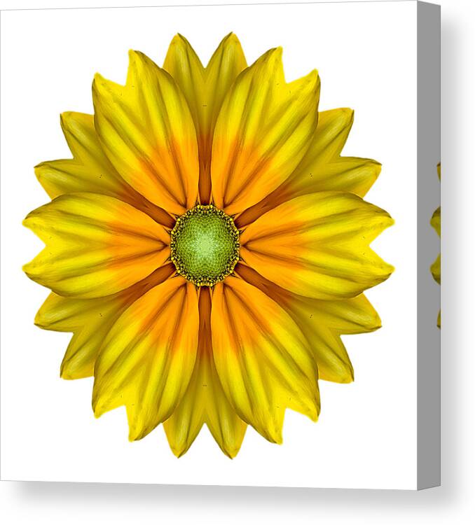 Flower Canvas Print featuring the photograph Rudbeckia Prairie Sun I Flower Mandala White by David J Bookbinder
