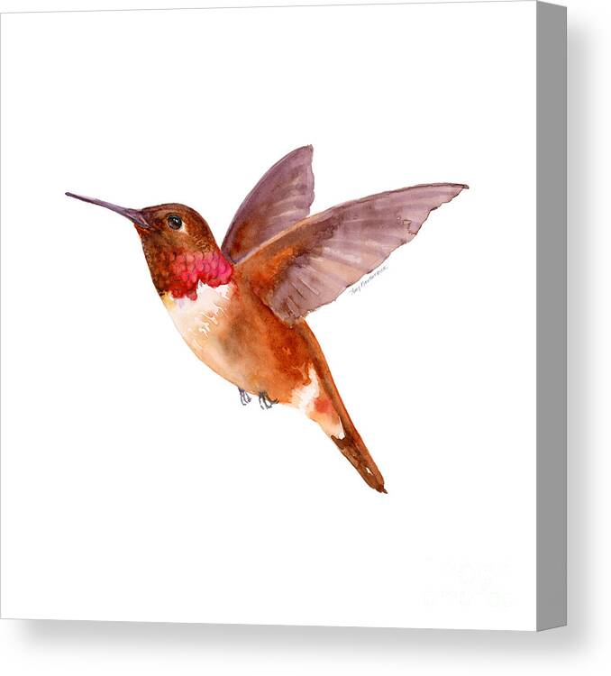 Bird Canvas Print featuring the painting Rufous Hummingbird by Amy Kirkpatrick
