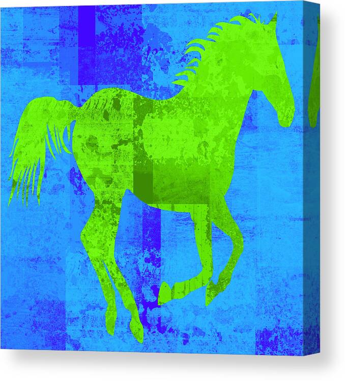 Horse Canvas Print featuring the digital art Run Free by David G Paul