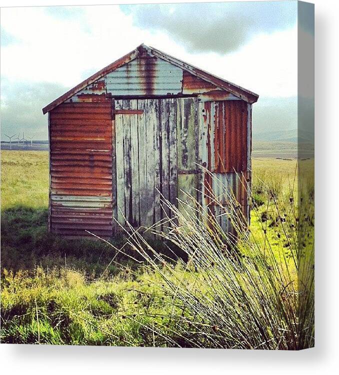 Greenery Canvas Print featuring the photograph #rusty #red #tin #hayshed #greenery by Jen Mac