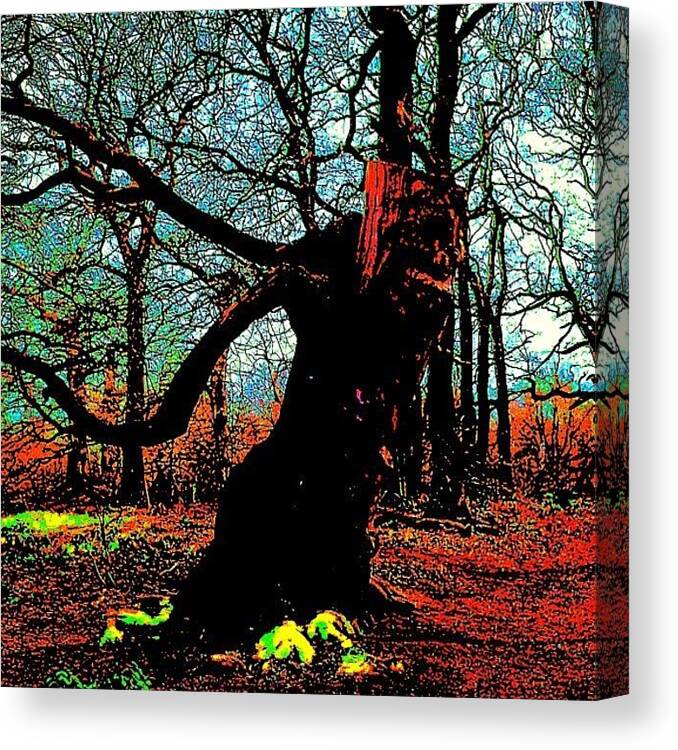 Beautiful Canvas Print featuring the photograph Sad Strolling Tree Troll by Urbane Alien