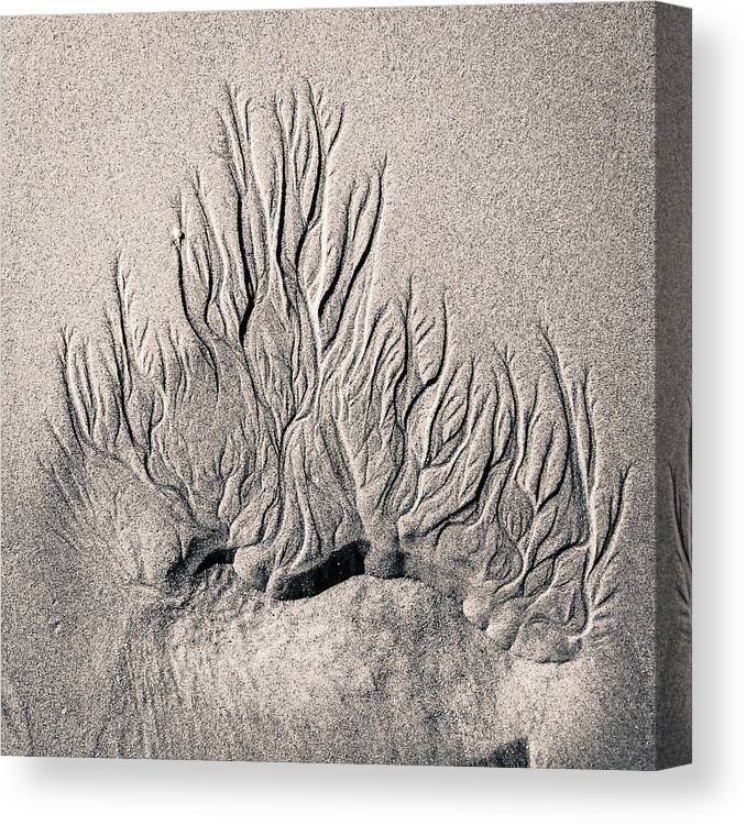 Sand Canvas Print featuring the photograph Sand Trails by Patricia Schaefer