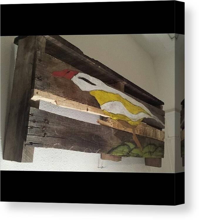 Galleries Canvas Print featuring the photograph #sandpiper #artist #recycledart by Markanthony R Little