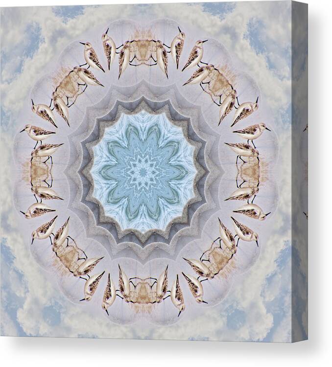 Sand Piper Canvas Print featuring the photograph Sandpiper Mandala by Beth Venner