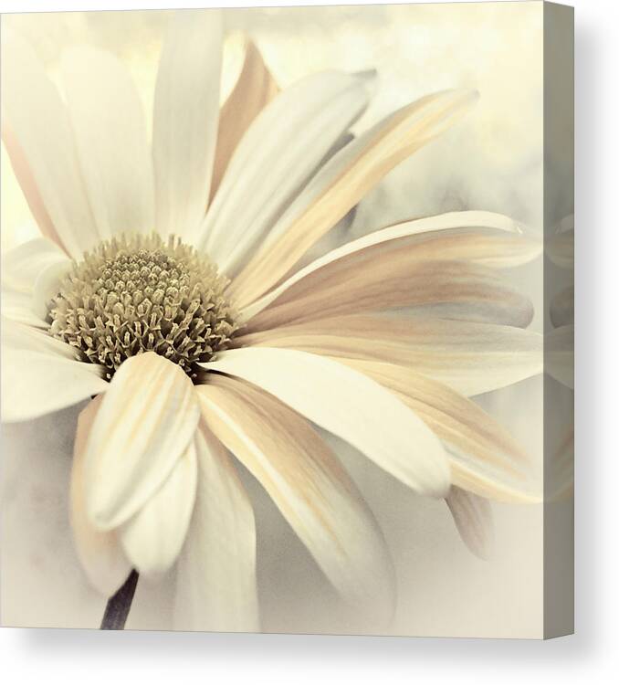 Floral Canvas Print featuring the photograph Sandy Shores by Darlene Kwiatkowski