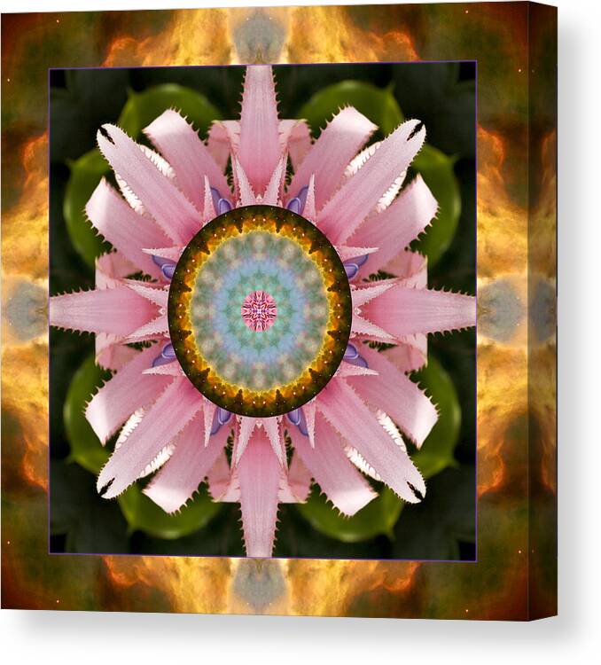 Yoga Art Canvas Print featuring the photograph Scintillation by Bell And Todd