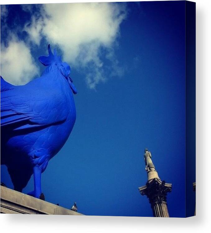 Wanderlust Canvas Print featuring the photograph Screw The Pigeons; Look Behind You by Philip Murphy