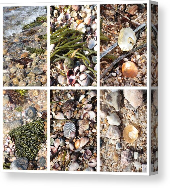 Beach Combing Canvas Print featuring the photograph Seashore Collage by Carol Groenen