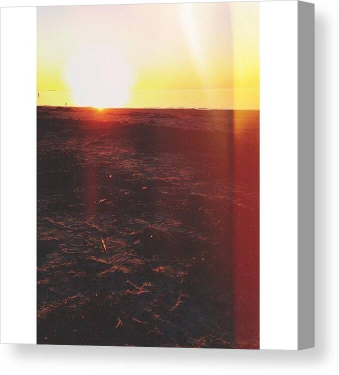 Beautiful Canvas Print featuring the photograph Seaweed, Sand And Sunset by Anastacia Gray