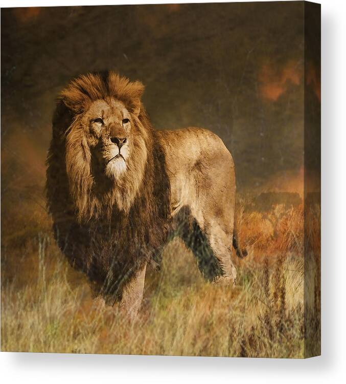 African Lion Canvas Print featuring the photograph Serengeti Sunset by Brian Tarr