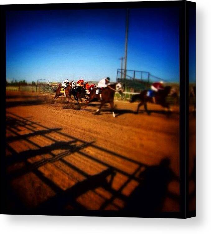 Shadows Canvas Print featuring the photograph #shadows #horses #horse #horseracing by Susan Scherr