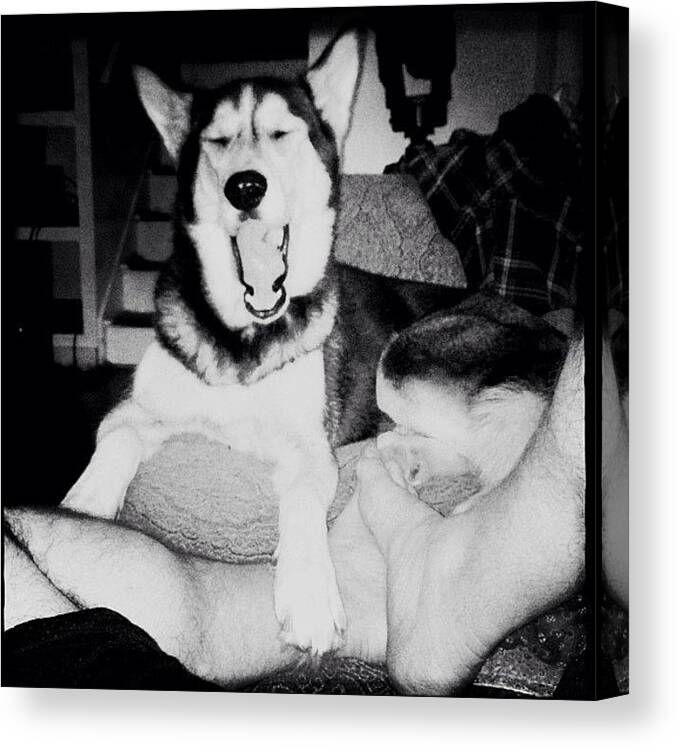 Kita Canvas Print featuring the photograph She Thinks I Am Wicked Funny.... #kita by Daniel Ware