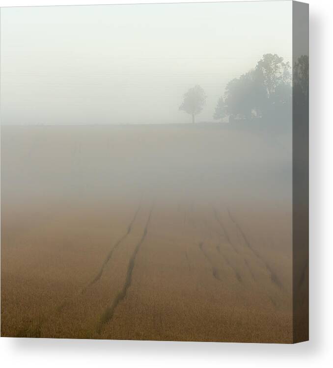 Field Canvas Print featuring the photograph Silent morning by Aldona Pivoriene