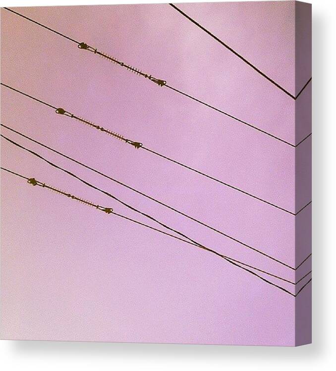 Simple Canvas Print featuring the photograph #simple #minimal #electricwire by Megan Petroski 
