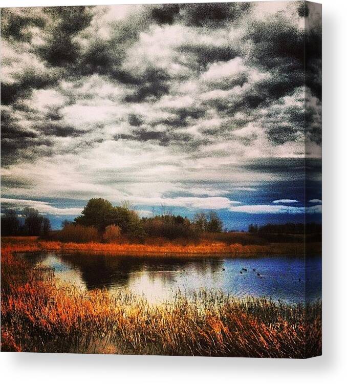 Slough Canvas Print featuring the photograph Slough by Spencer Neuberger