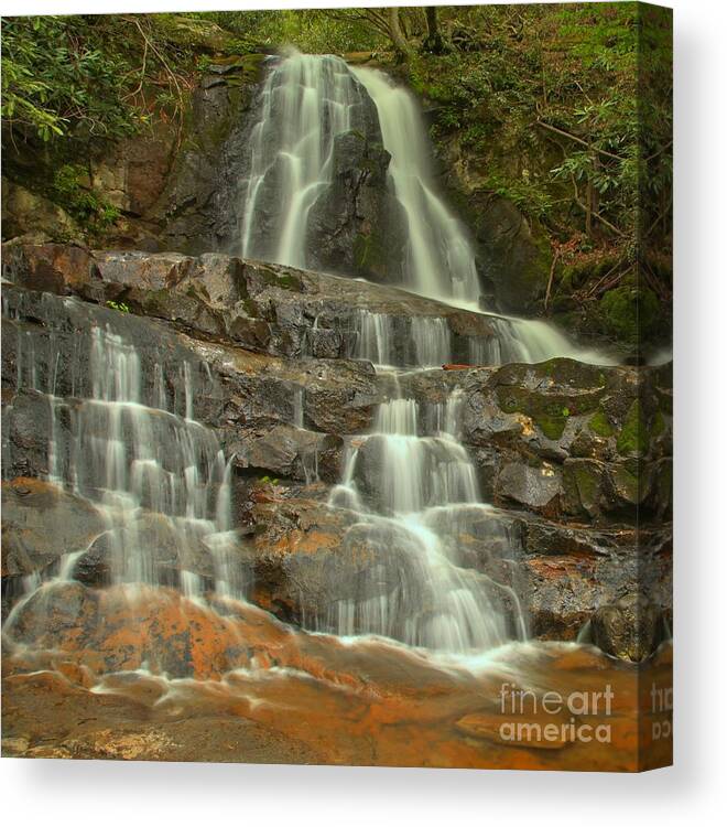 Laurel Falls Canvas Print featuring the photograph Smoky Mountains Laurel Falls by Adam Jewell
