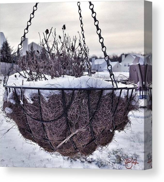  Canvas Print featuring the photograph snow Covered by Gina ODonoghue