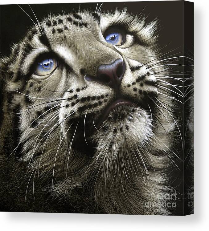 Snow Leopard Cub Canvas Print featuring the painting Snow Leopard Cub by Jurek Zamoyski